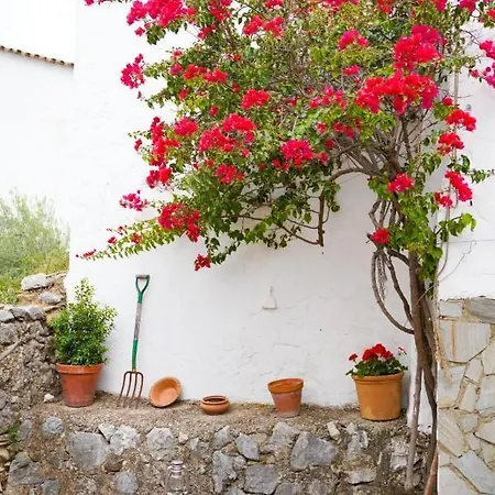 別荘 Casa Familiar El Tejar *